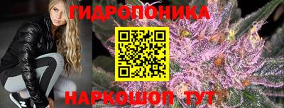 бошки Кимры