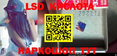 бошки Кимры