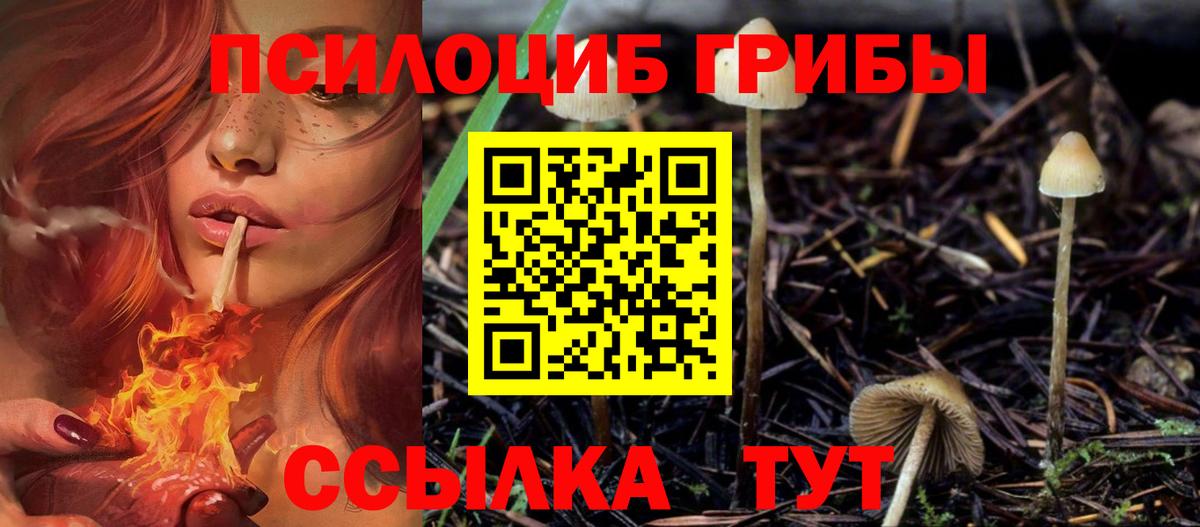 Корсаков  магазин продажи   Вход с VPN  Галлюциногенные грибы Magic Shrooms 